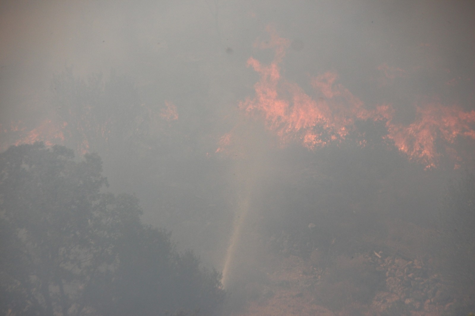Bodrum yeniden alevlere teslim oldu
