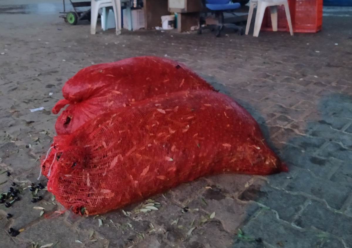 Çaldığı zeytinleri satarken yakalandı