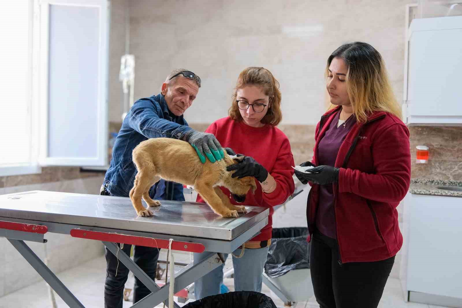 Can dostlar için Menemen’de rekor tedavi sayısına ulaşıldı