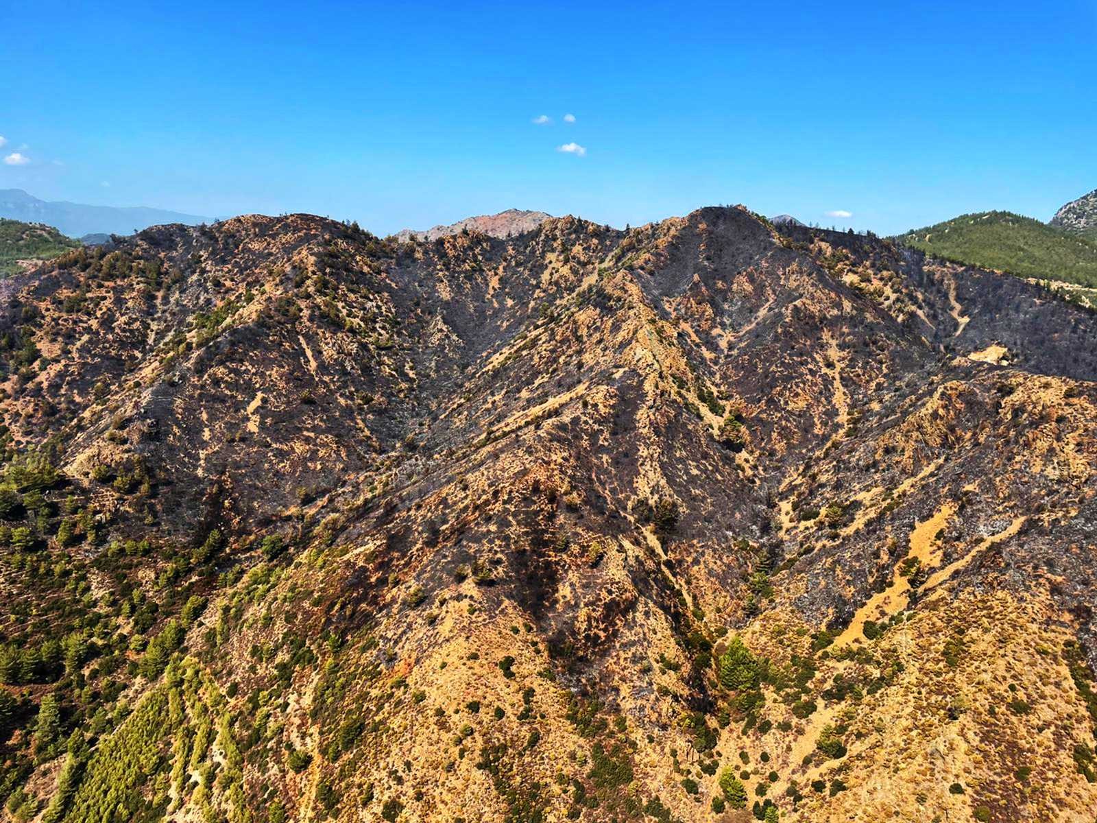 Dalaman yangını kontrol altında