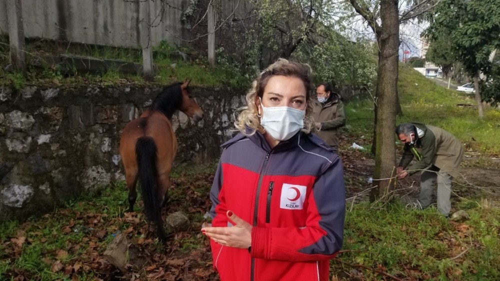 Depremde hayat kurtaran kahraman bir canı daha kurtardı