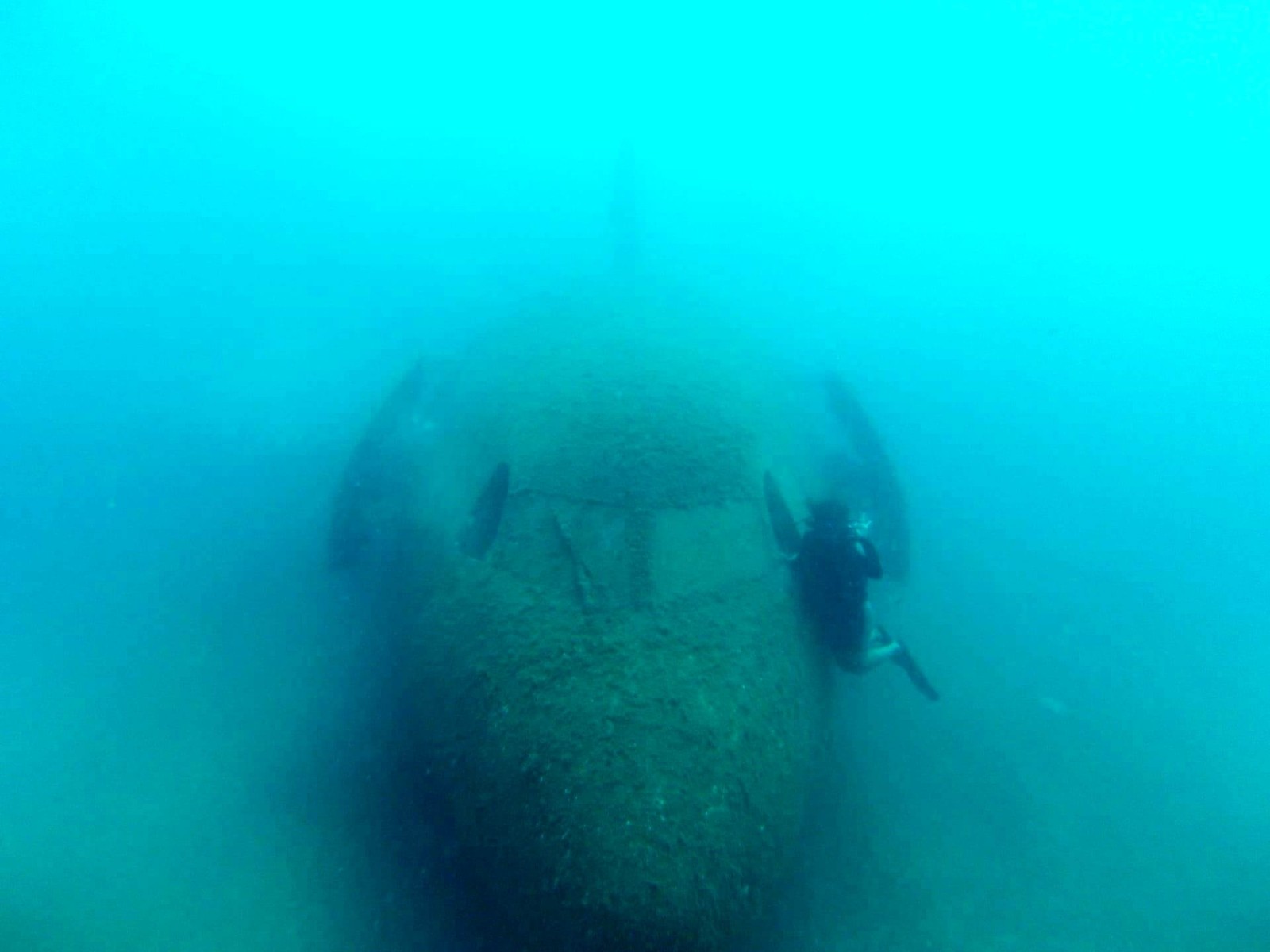 Dev uçağı görebilmek için dalış yapıyorlar