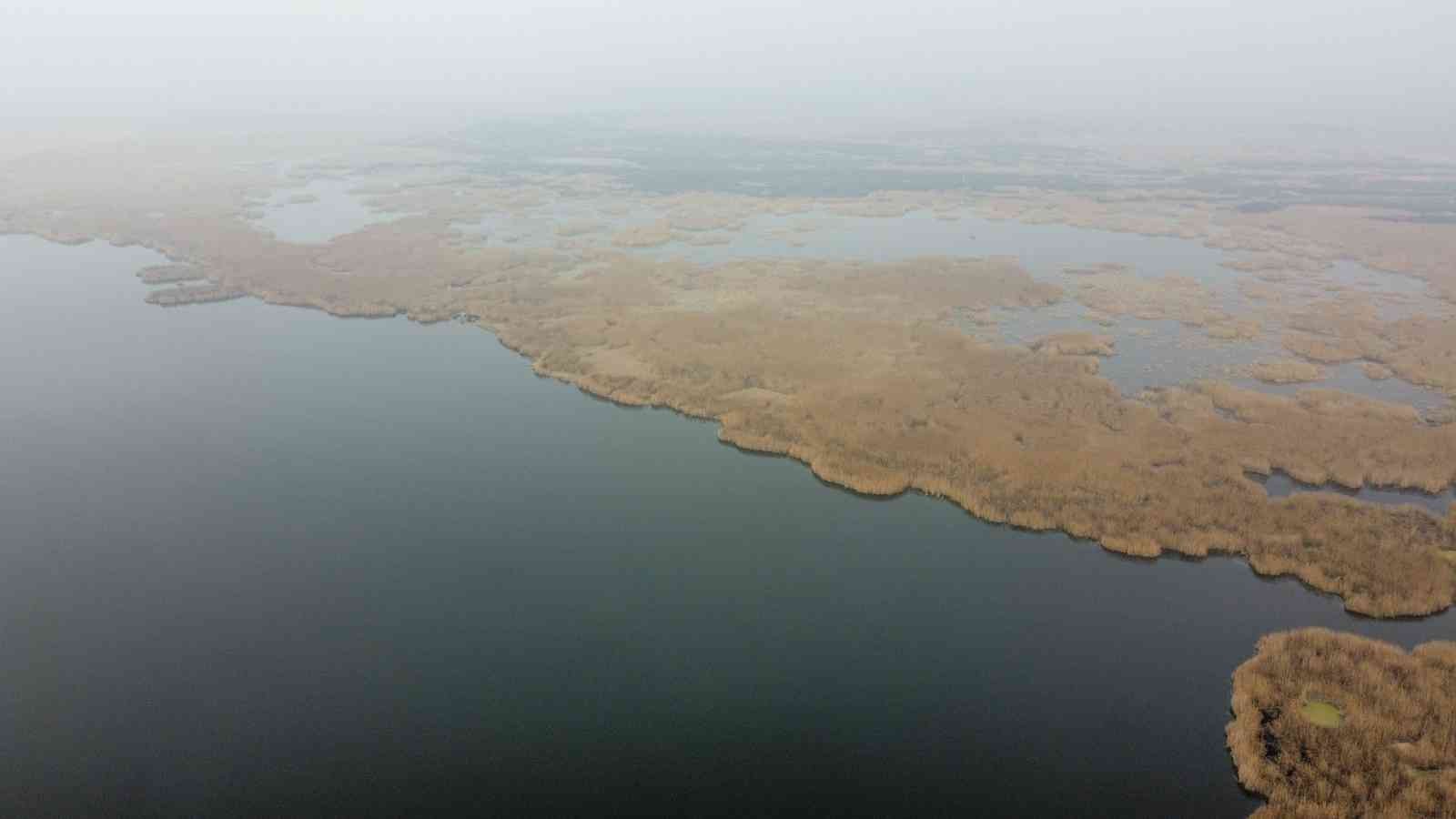 Eber Gölü’nden sevindiren görüntü