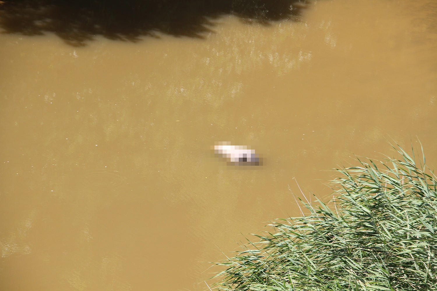 Gediz Çayı’nda erkek cesedi bulundu