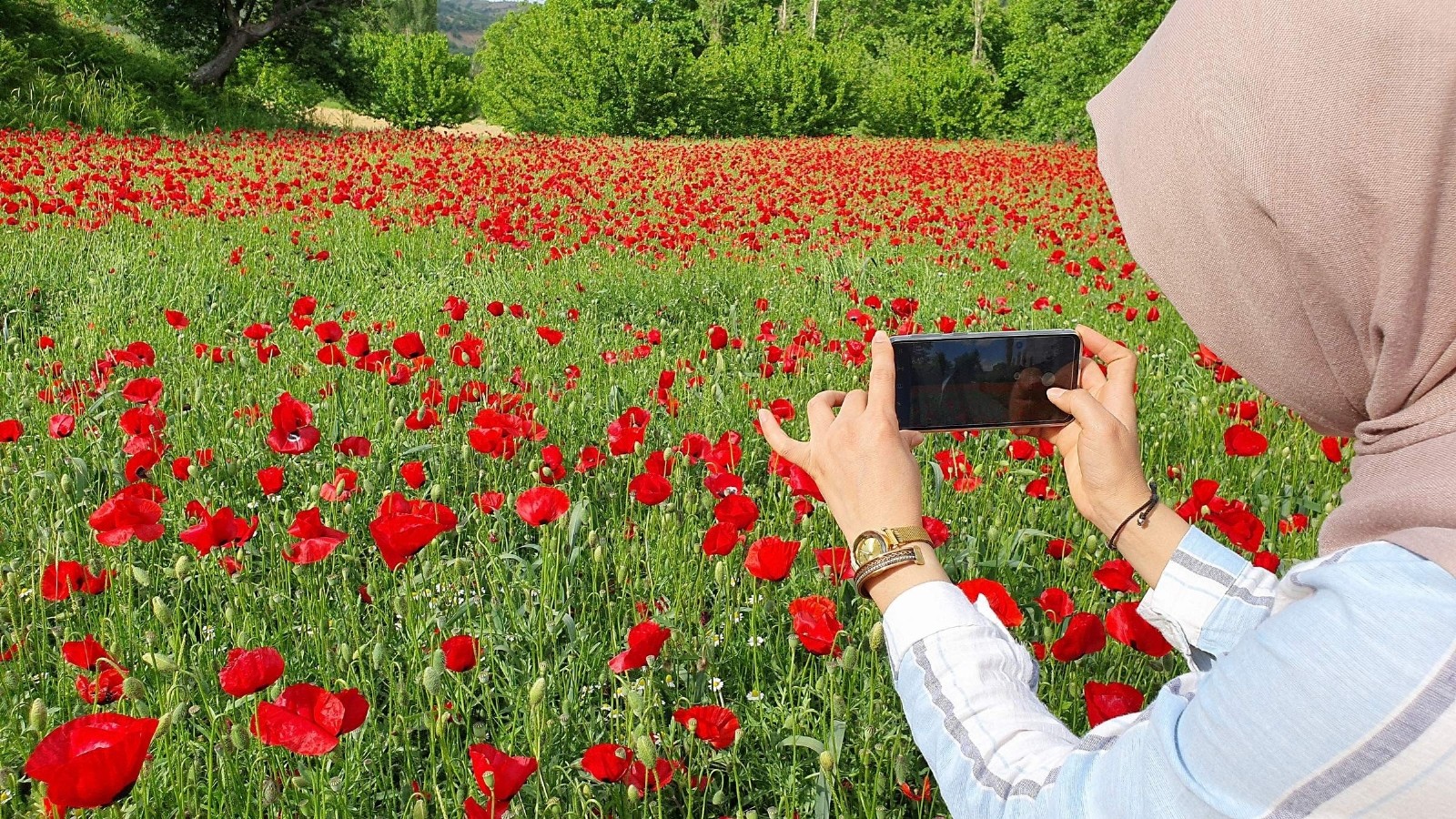 Gelincik tarlası görenleri mest etti