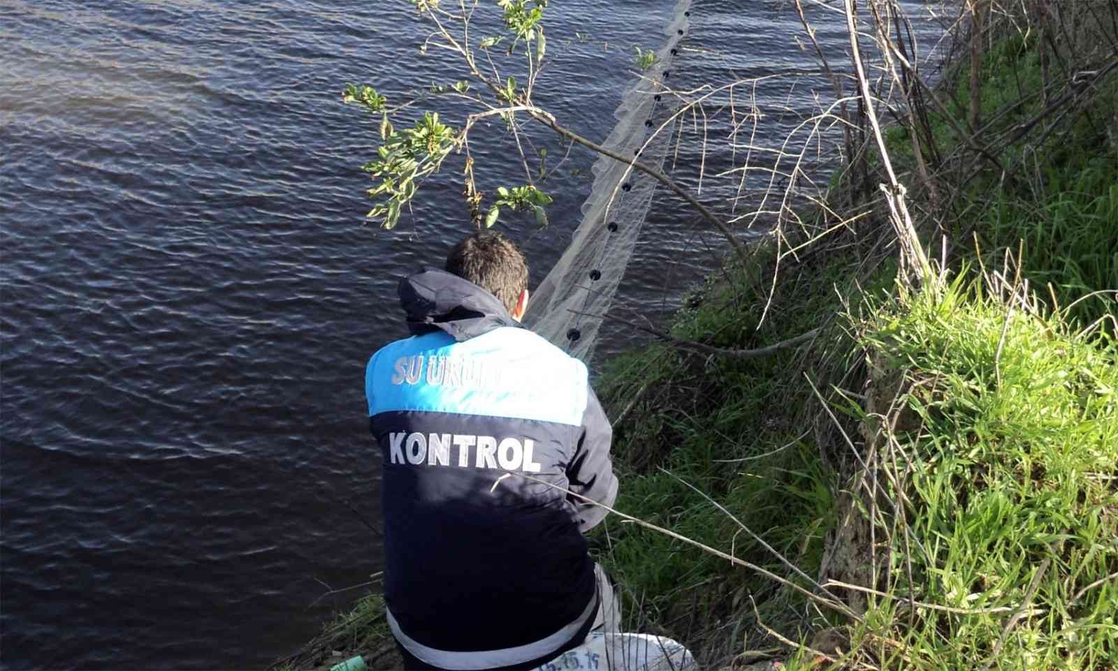 İç sularda sazangiller ve yayın balığı yasağı başladı