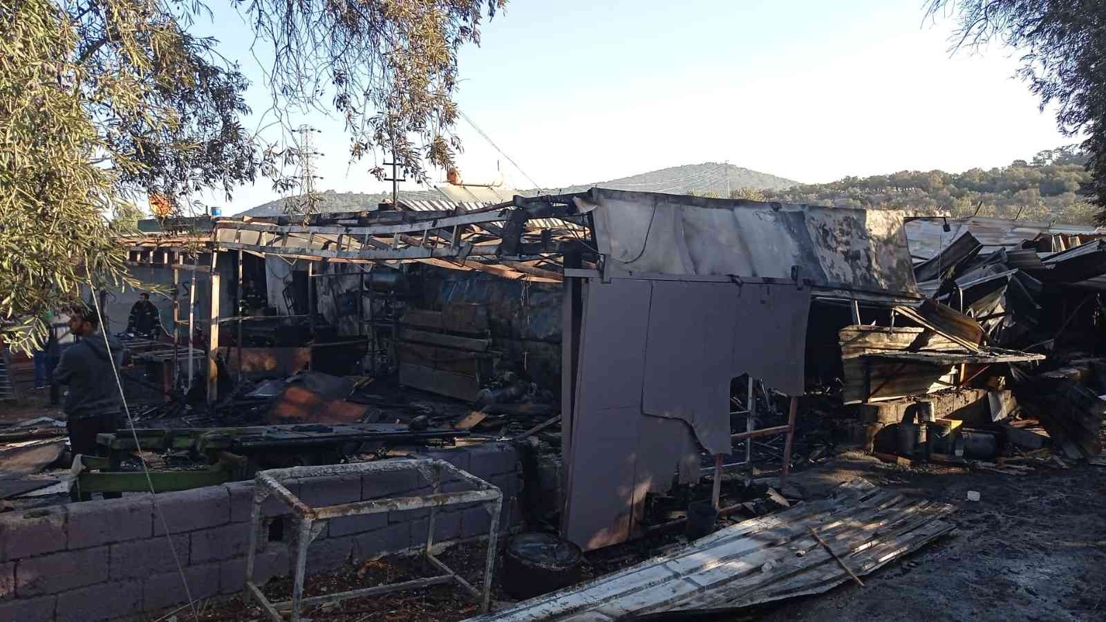 İki işyeri cayır cayır yandı