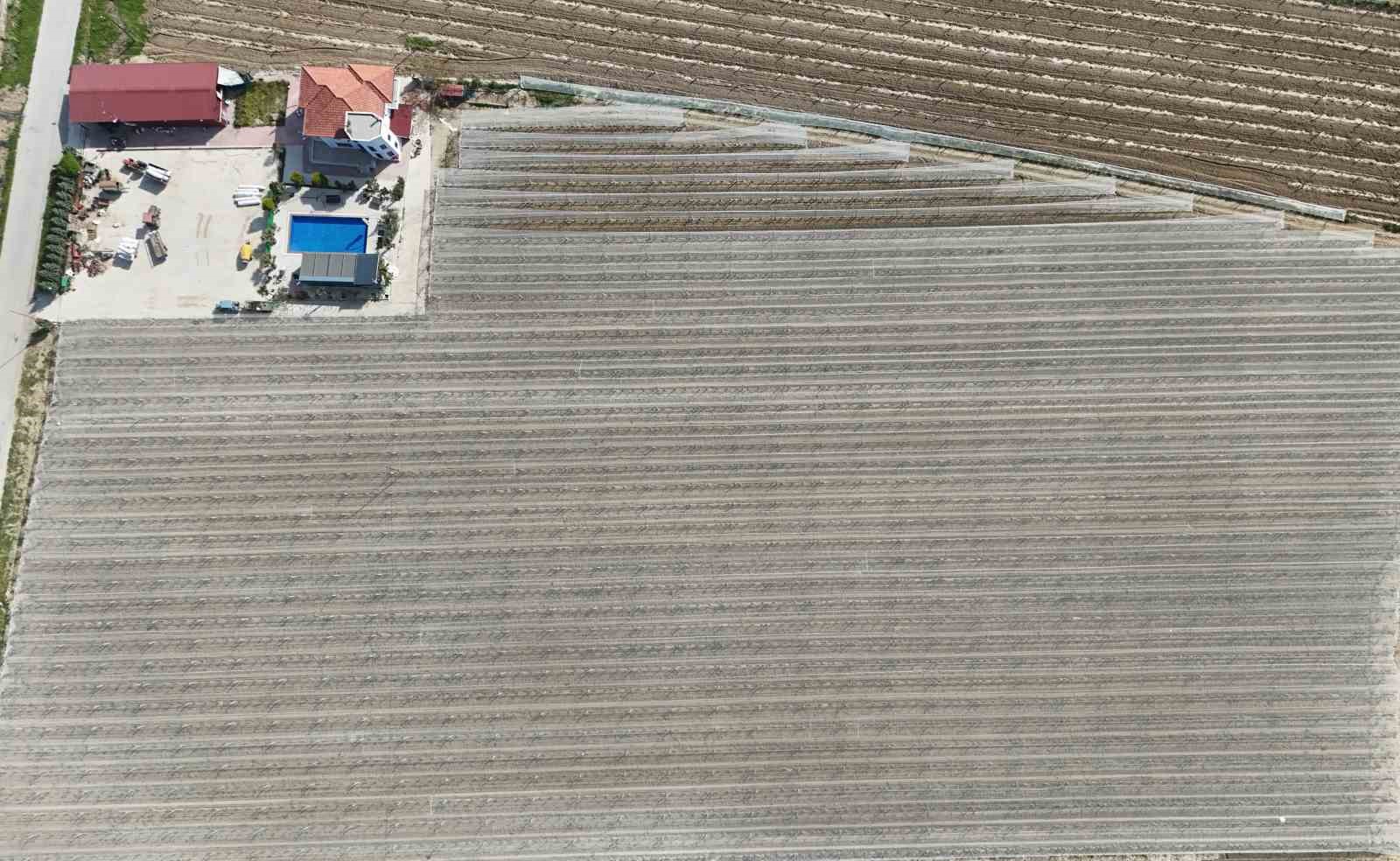 Kadın girişimciden tarımda akılcı çözüm