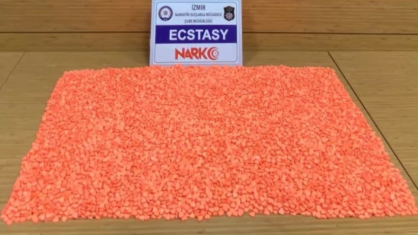 Kamyon içerisine gizlenen hapları, ’Dino’ buldu