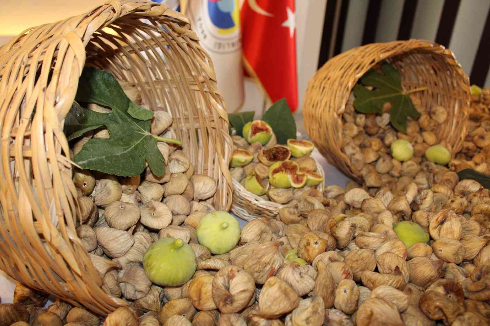 Kuru incirde en fazla ihraç AB ülkelerine yapılıyor