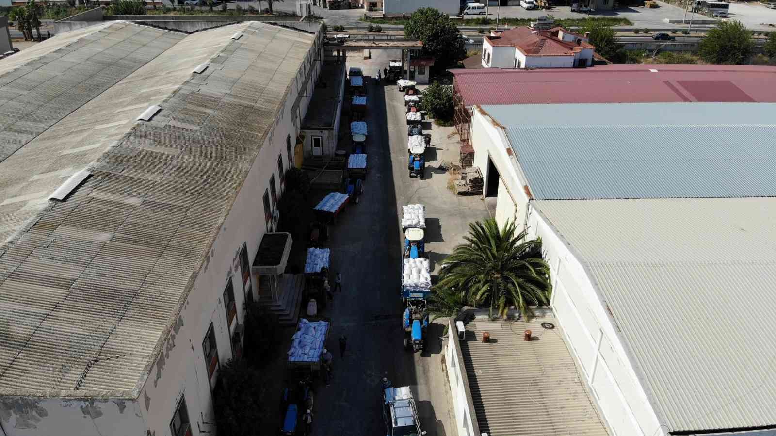 Kuru üzüm alımının başladığı TMO’ya çiftçilerden yoğun ilgi