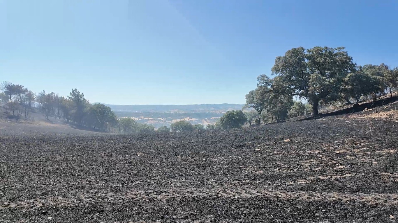Kütahya’daki orman yangını kontrol altına alındı