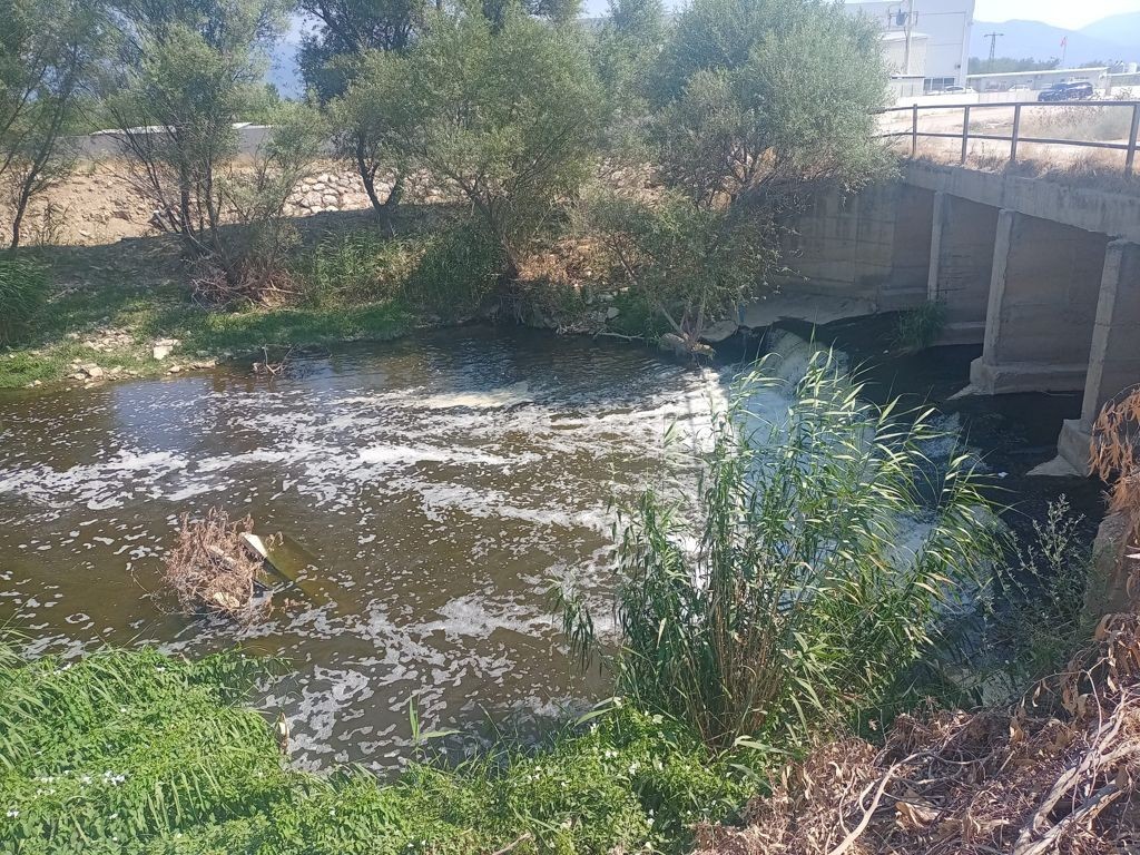 MHP’li başkandan Tunç Soyer’e sert tepki