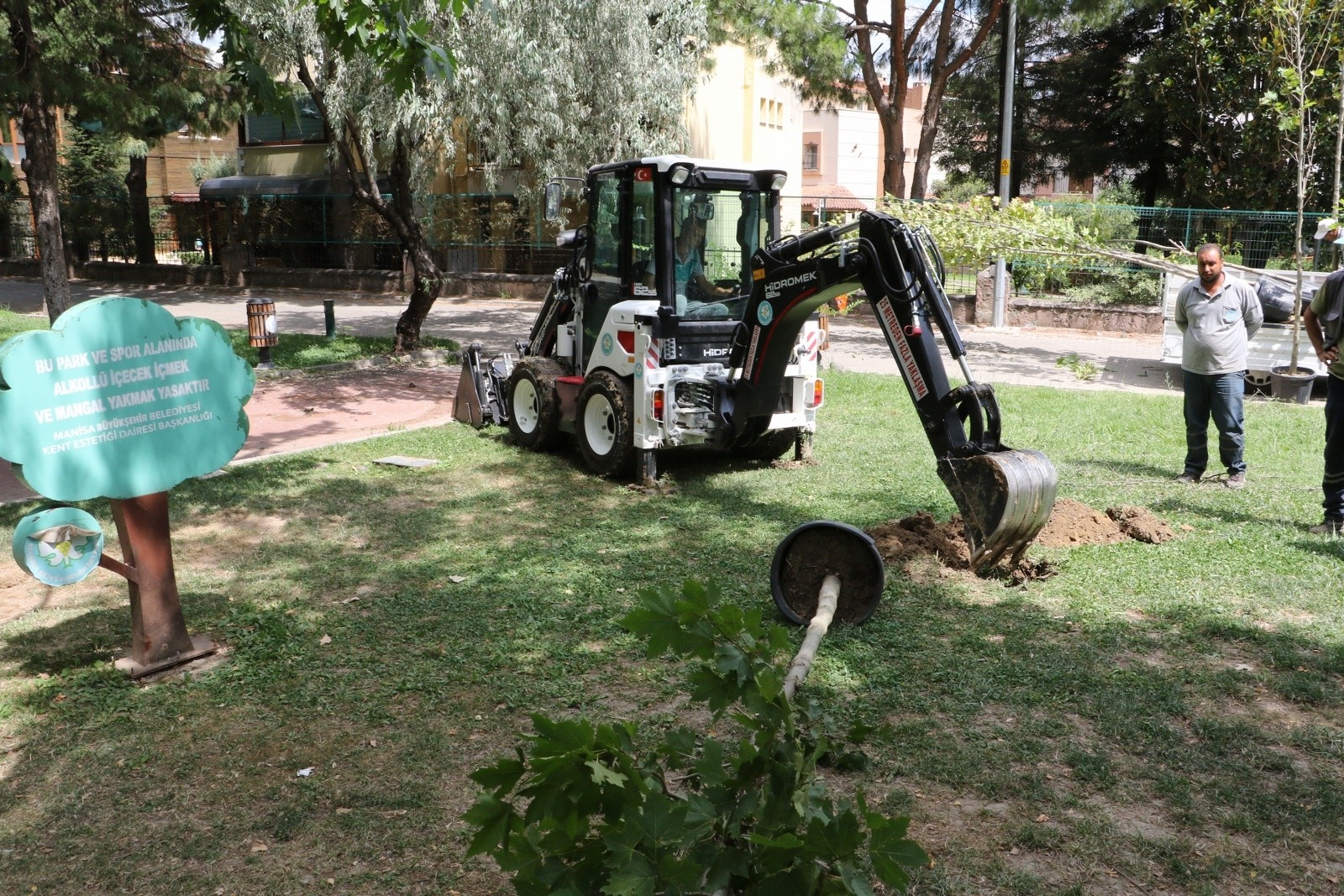 Manisa Büyükşehir ağaç seferberliğine devam ediyor