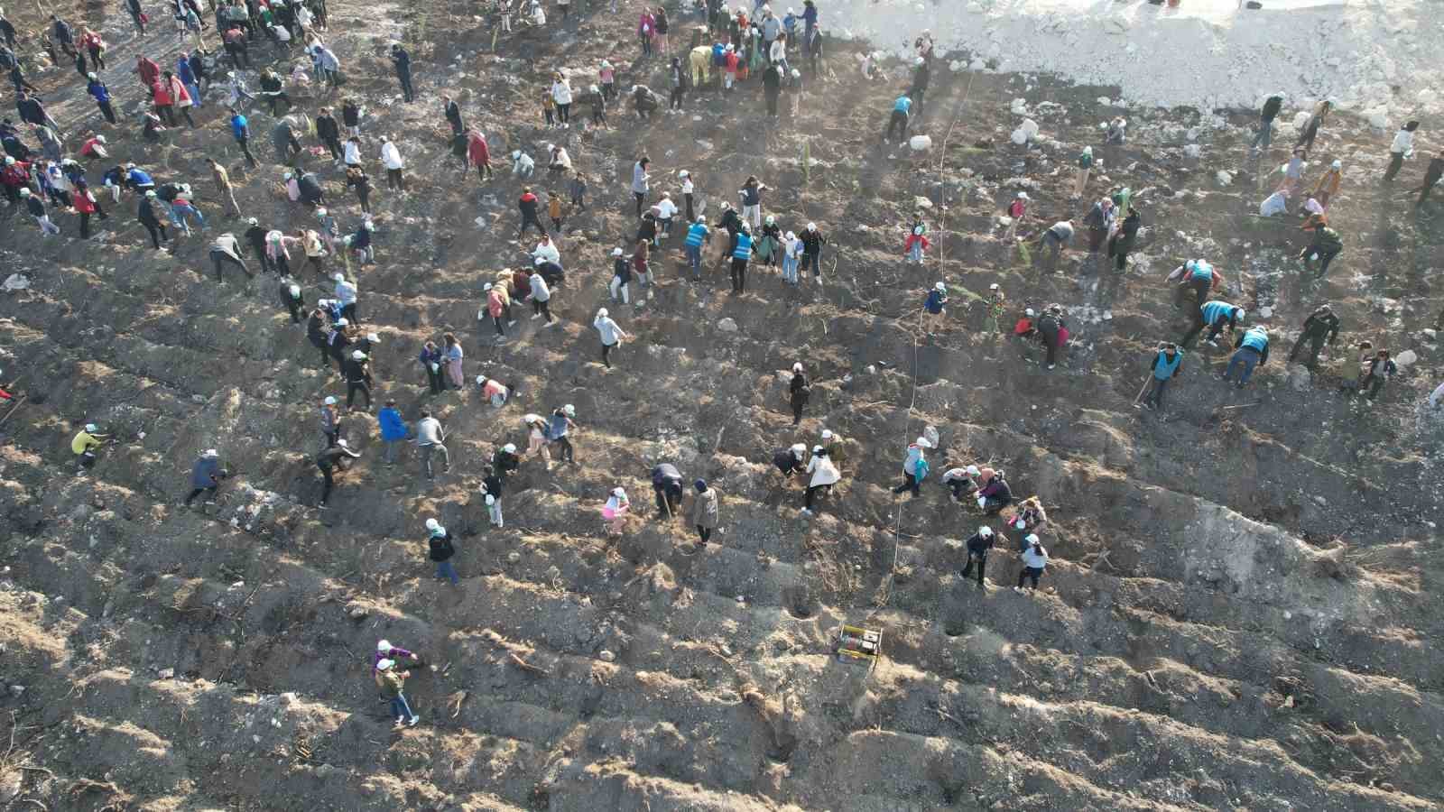 Manisa’da binlerce fidan toprakla buluşacak
