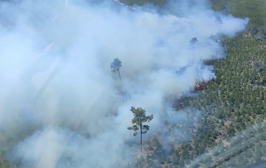 Manisa’da çıkan orman yangınına müdahale devam ediyor