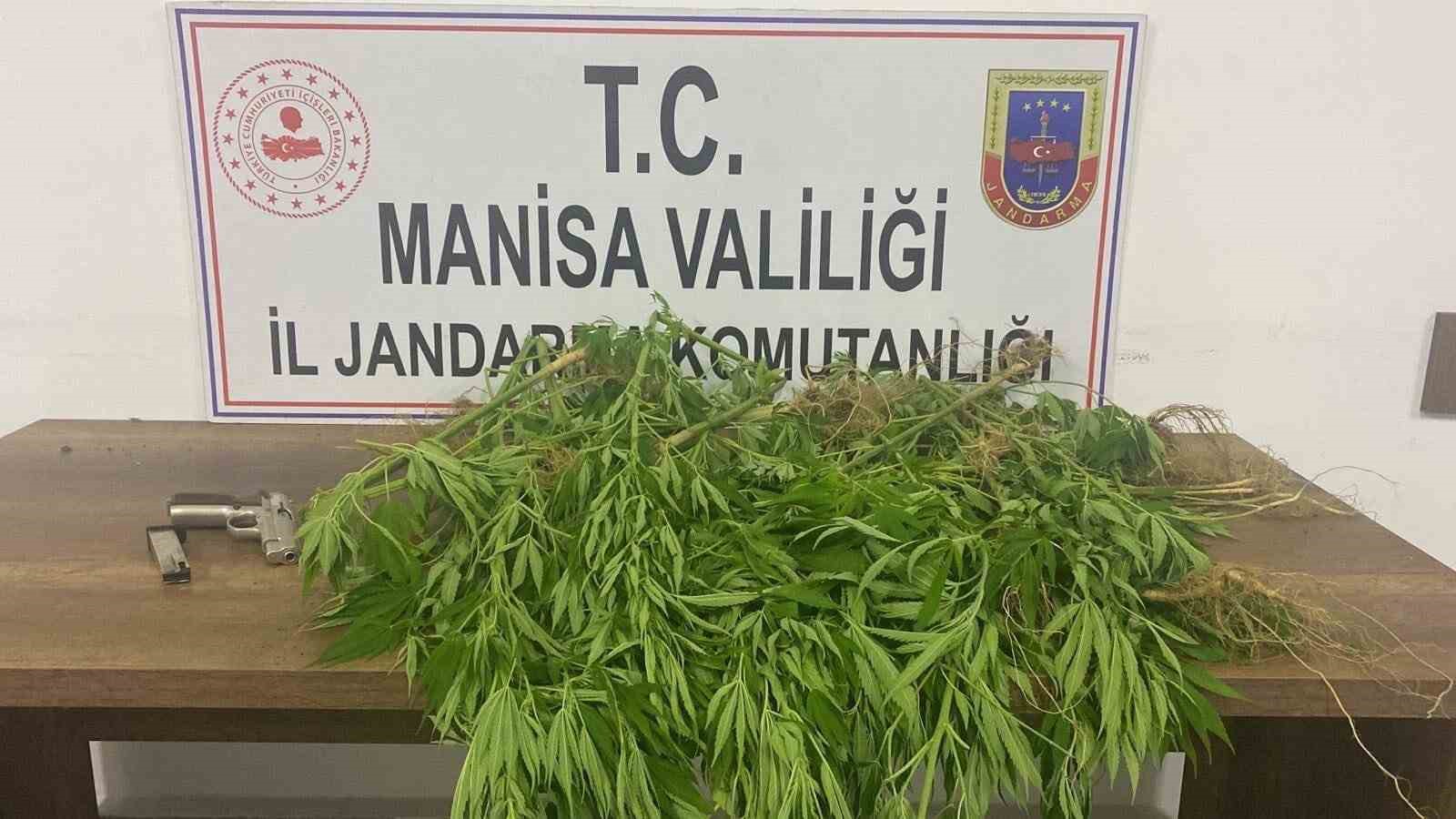 Manisa’da jandarmadan uyuşturucu operasyonu: 3 gözaltı