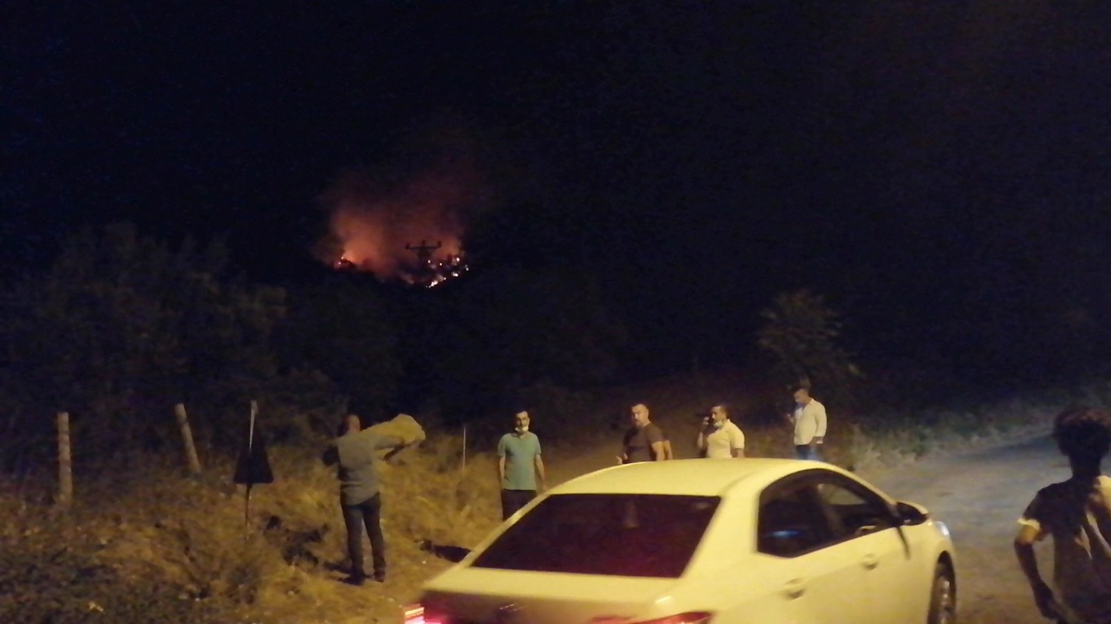 Manisa’da orman yangını başladı