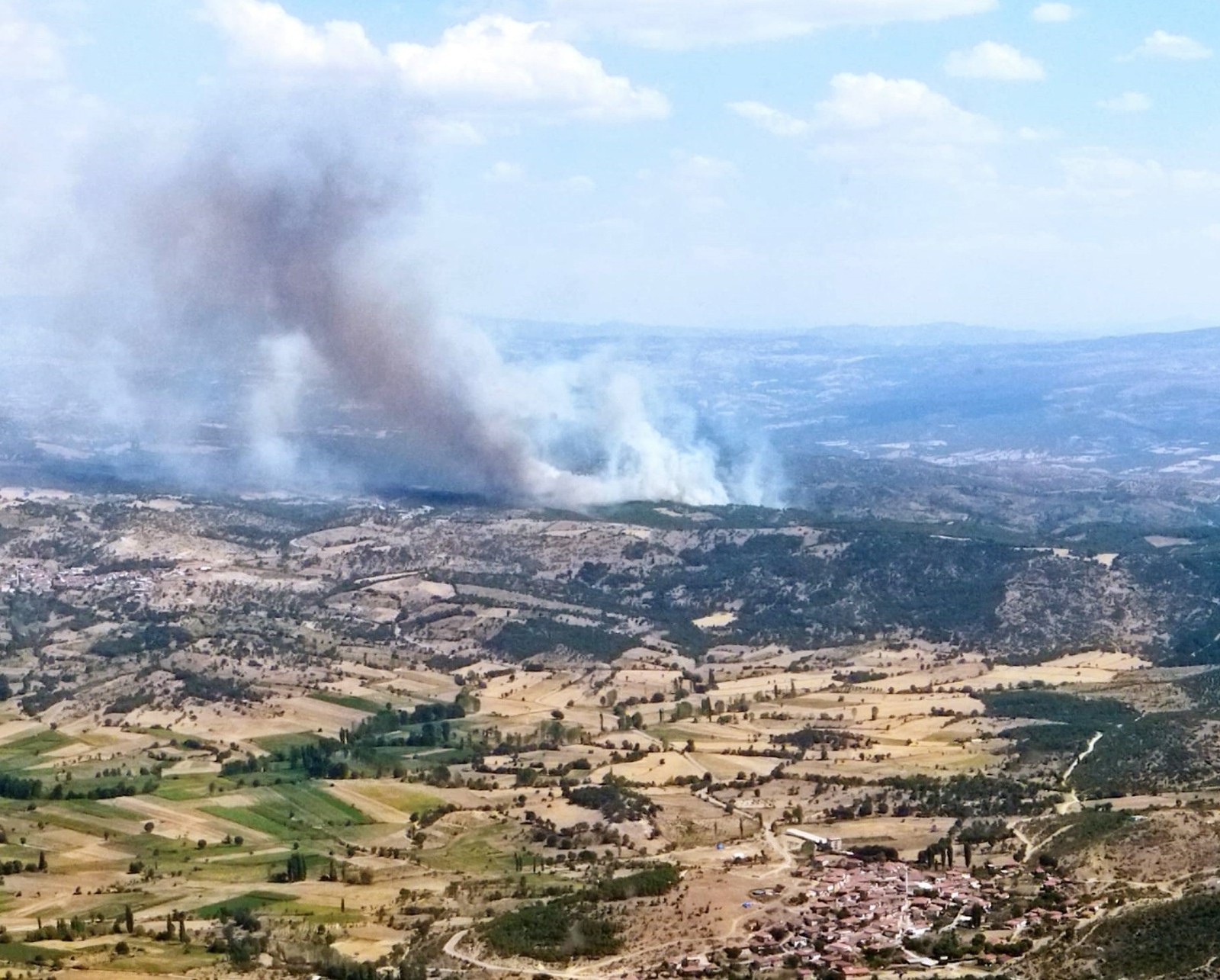 Manisa’da ormanlık alanda yangın