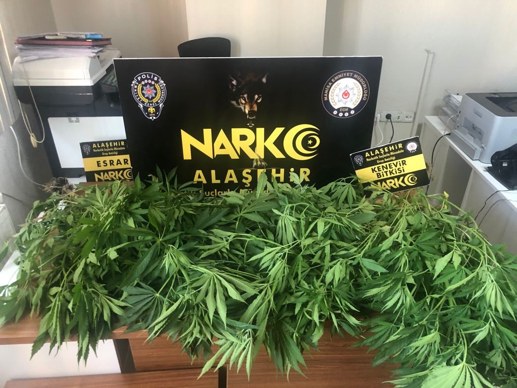 Manisa’da uyuşturucu operasyonu: 1 kişi tutuklandı