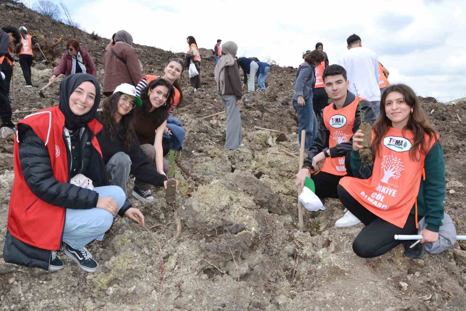 Manisa’da yanan alanlar yeniden yeşeriyor
