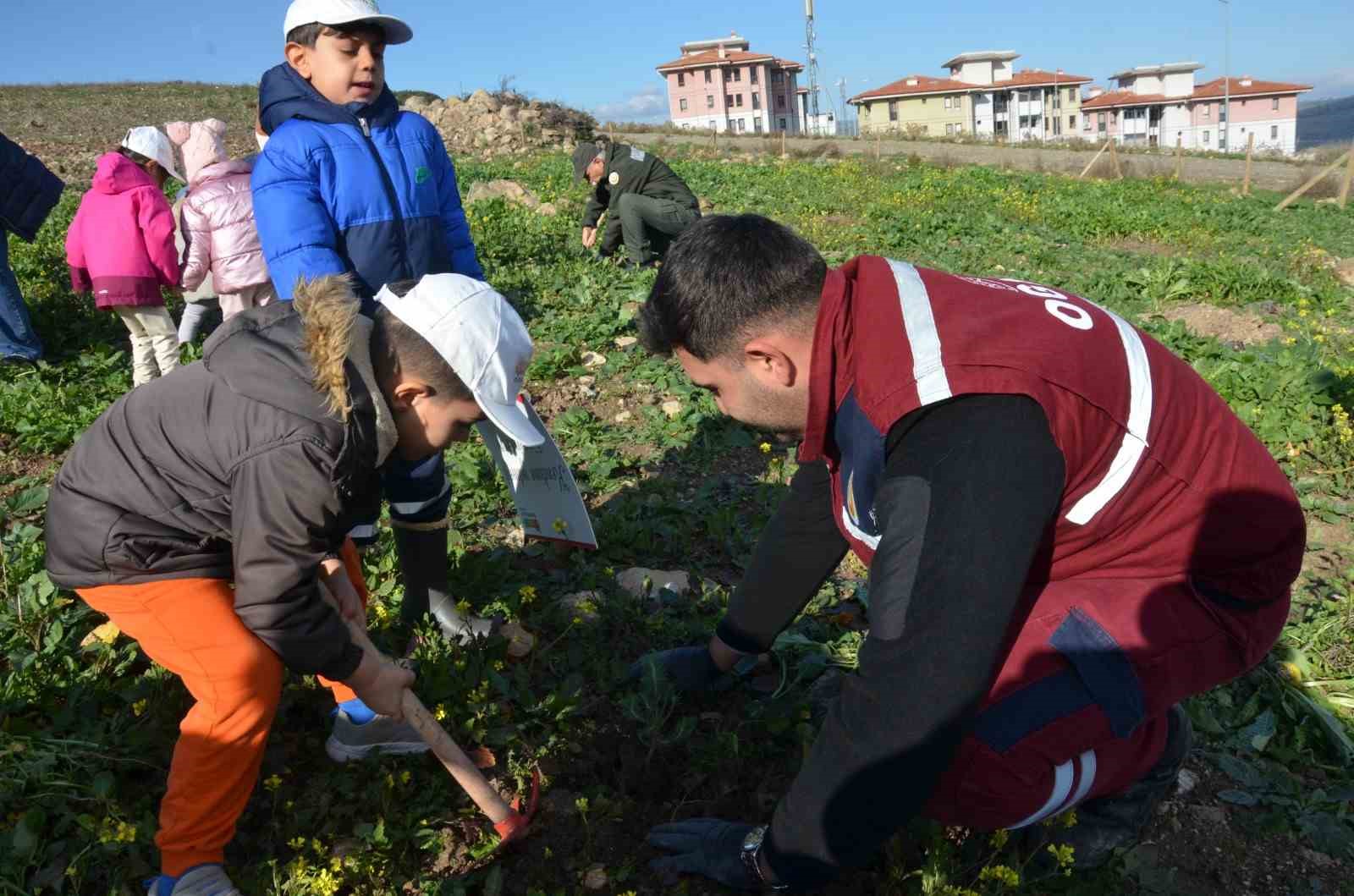 Manisa’da yanan alanlara 100 bininci fidan dikildi