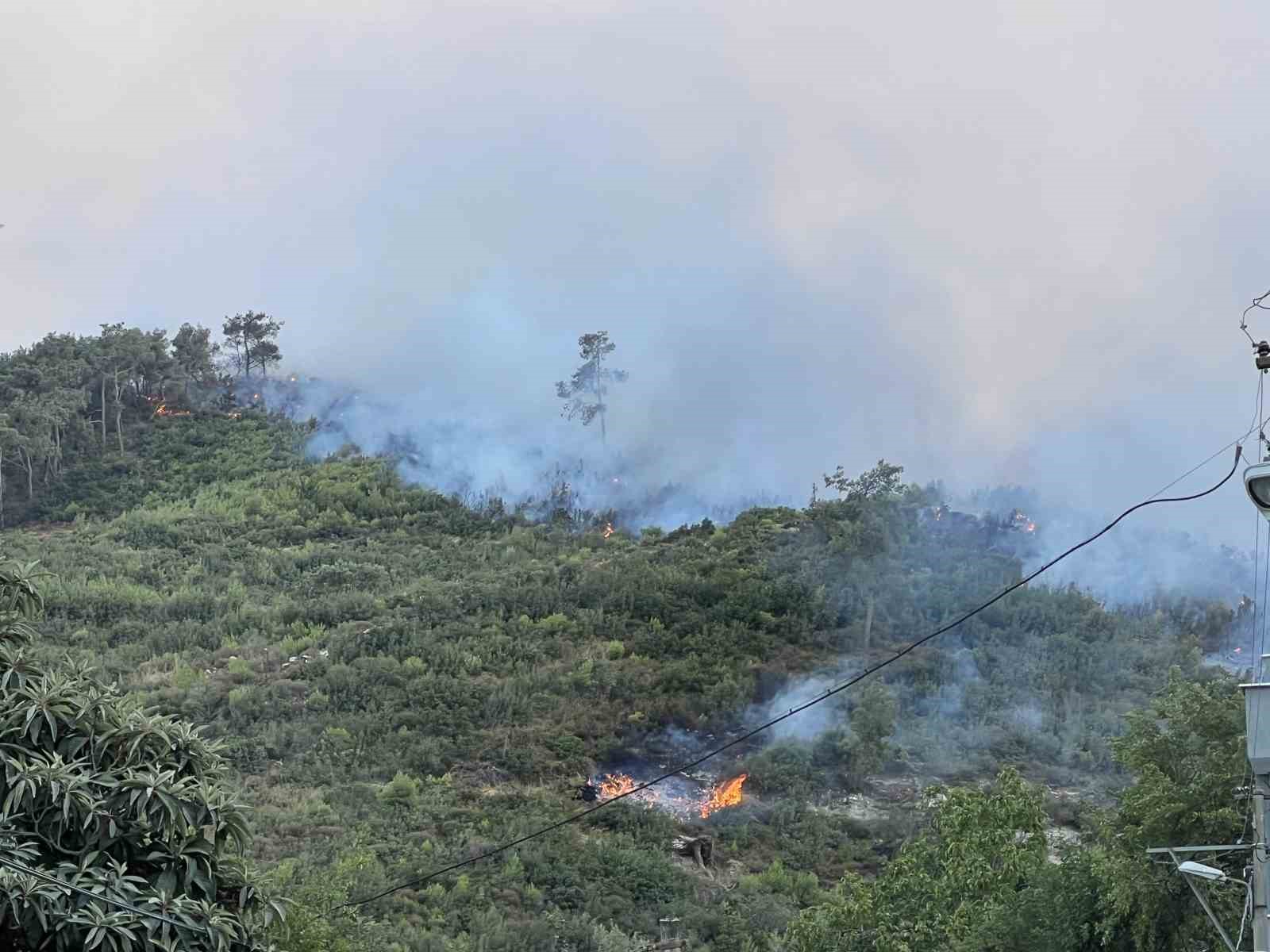 Manisa’daki orman yangınına müdahale devam ediyor