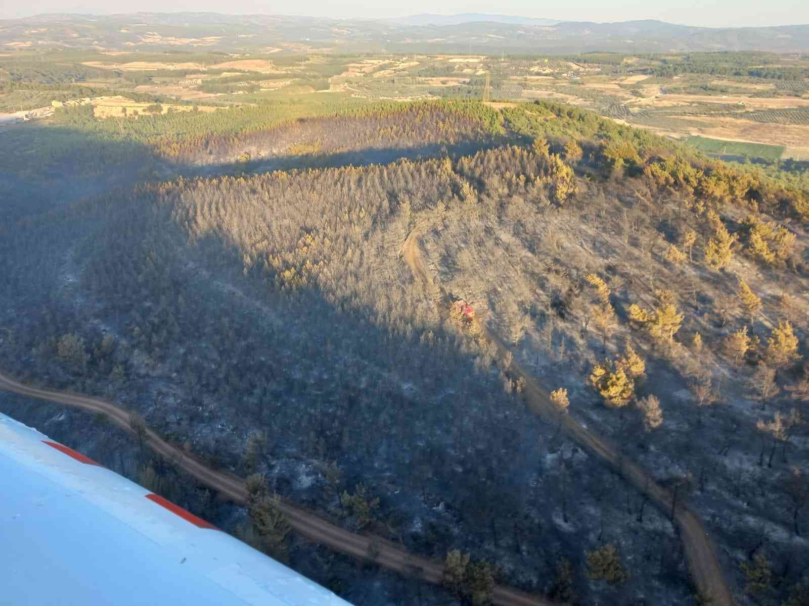 Manisa’daki yangın kontrol altına alındı