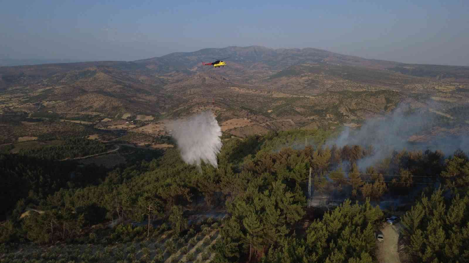 Manisa’daki yangında 5 hektarlık kızılçam ormanı zarar gördü