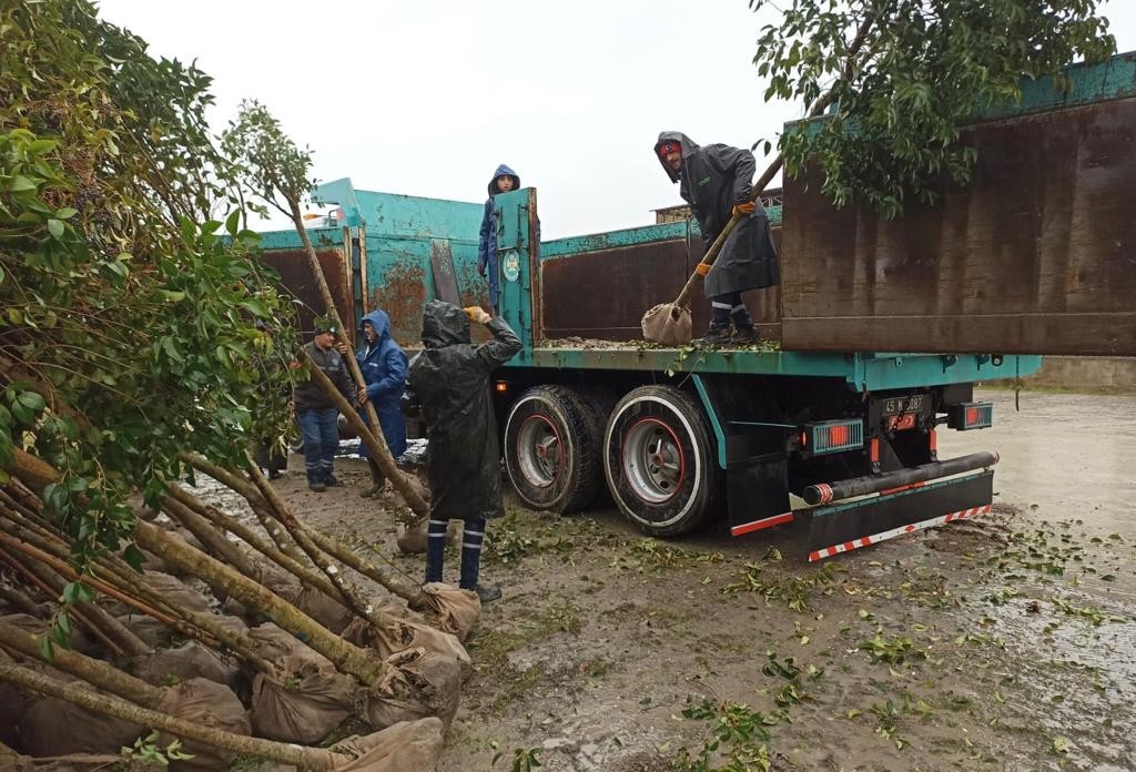 Manisa’nın yeşiline bin 110 ağaçlık katkı daha yapılacak