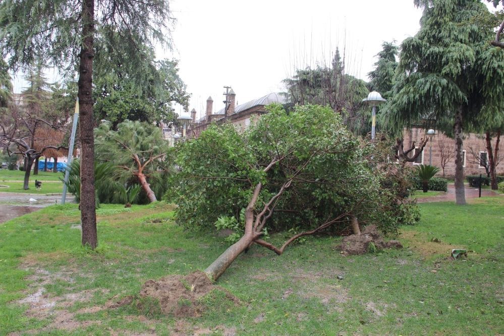 Manisa’ya fırtına uyarısı