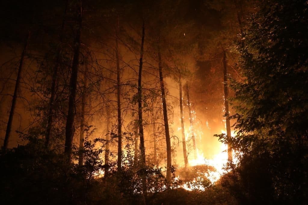 Menteşe’de yangınla mücadele gece boyunca devam etti