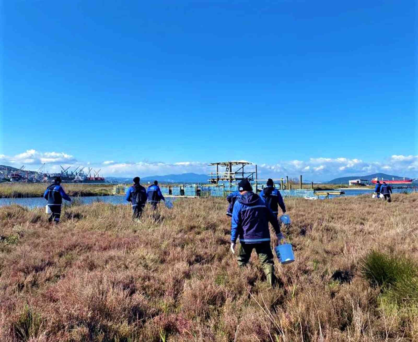 Milas’ta vektörle mücadele