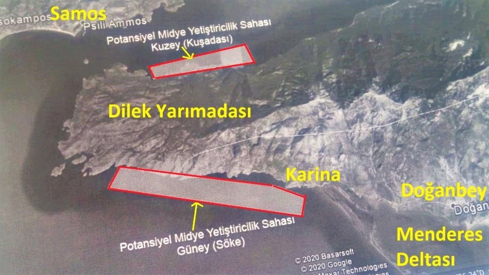 Milli Park’ta midye çiftliği tartışması