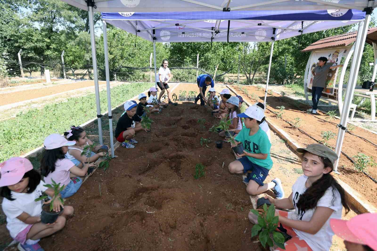 Miniklere uygulamalı tarım eğitimi