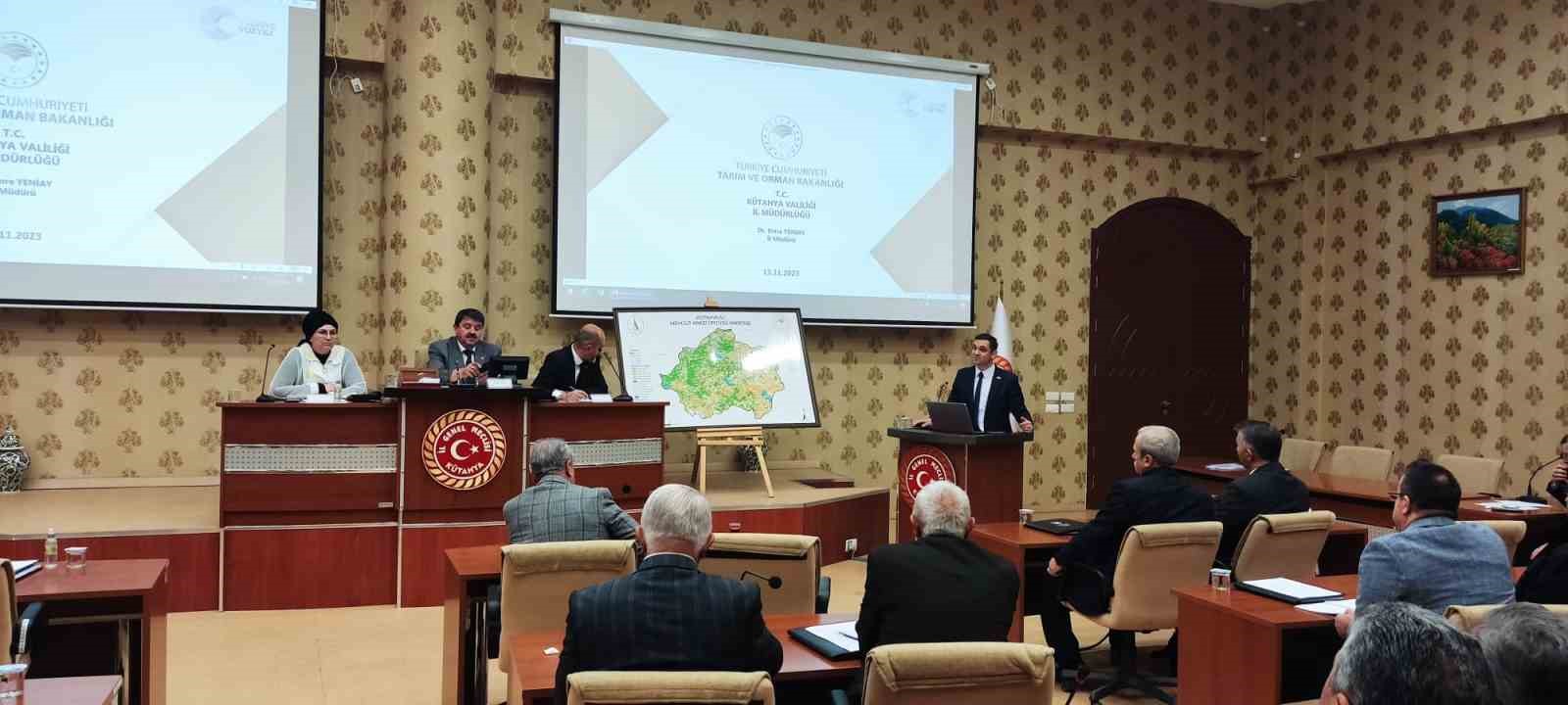 Müdür Yeniay, İl Genel Meclisinde sunum yaptı