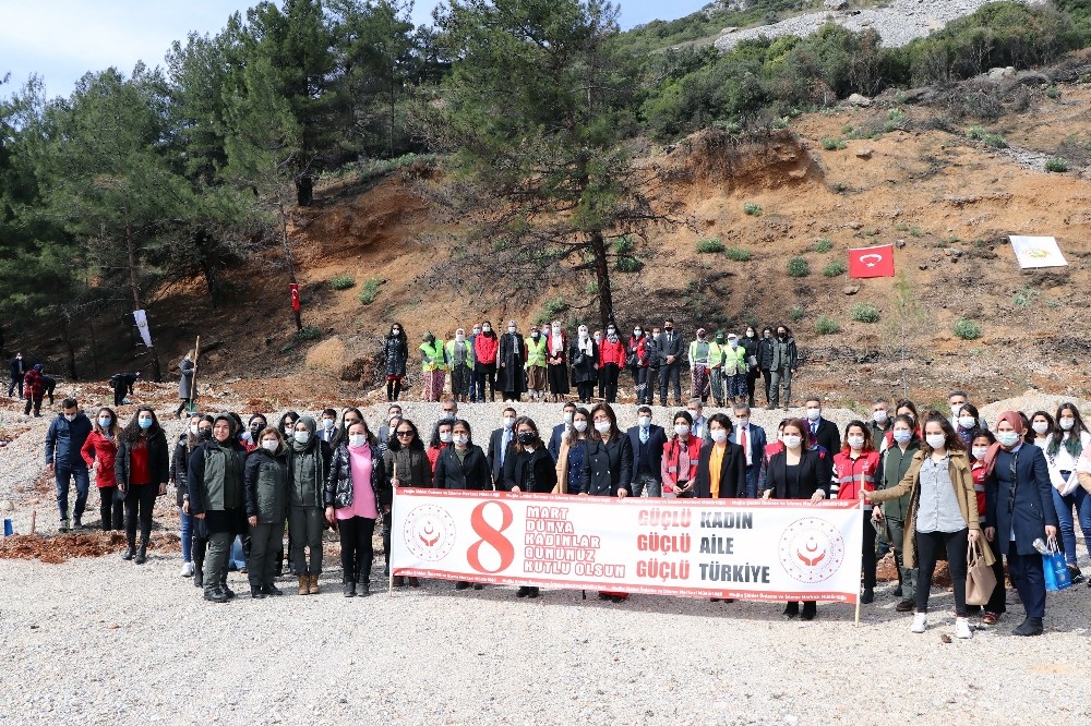 Muğla’da Mercan Hatıra Ormanı