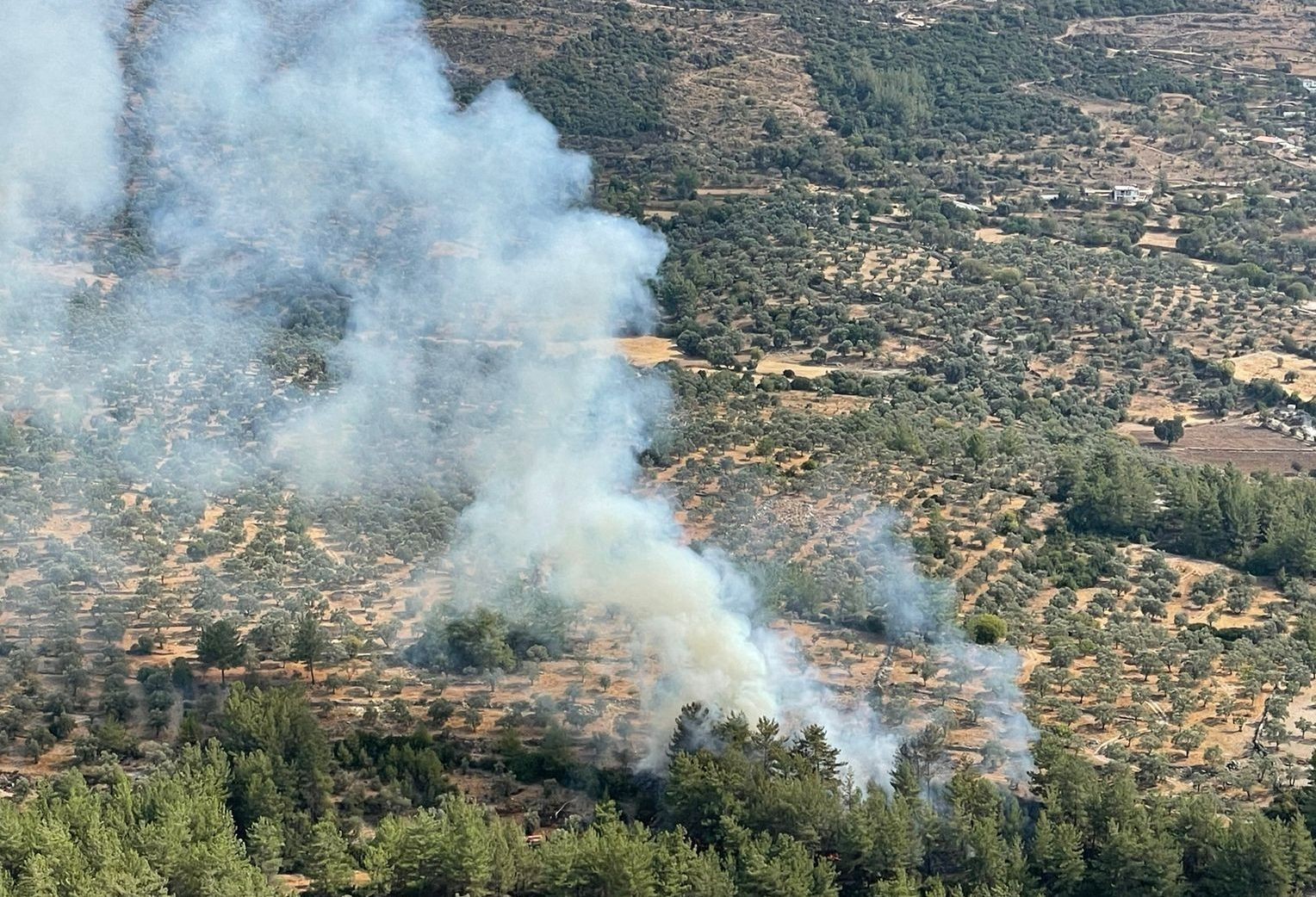 Muğla’da çıkan 10 yıldırım yangını büyümeden söndürüldü