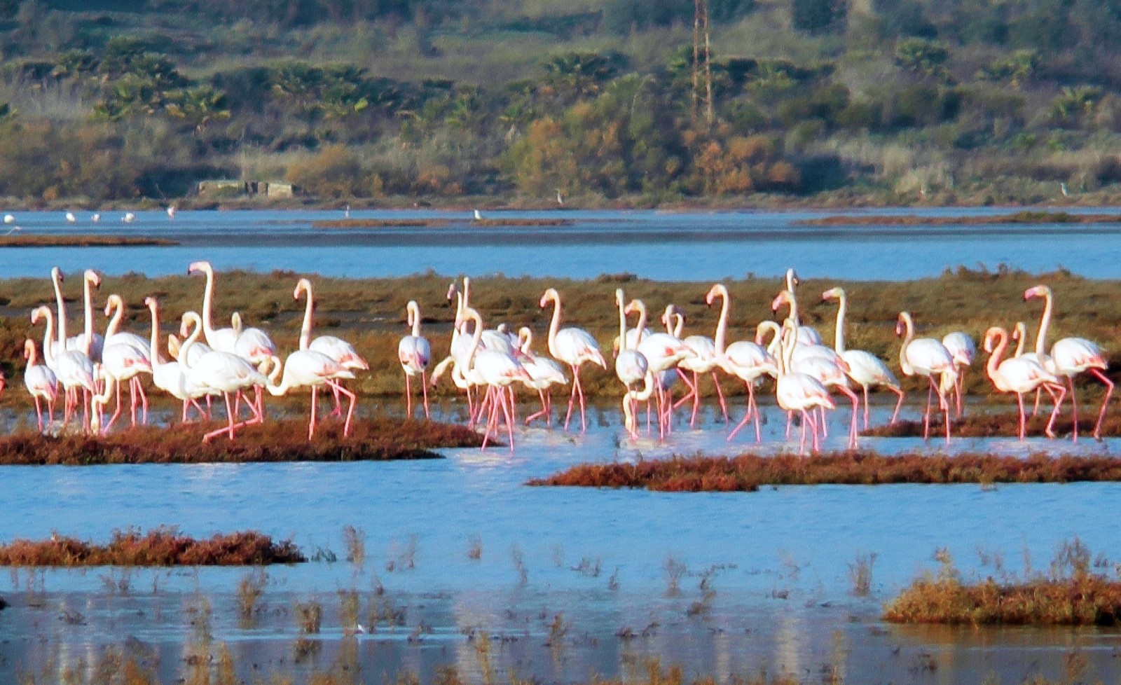 Muğla’da iki alan ‘Kesin Korunacak Hassas Alan’ statüsüne alındı