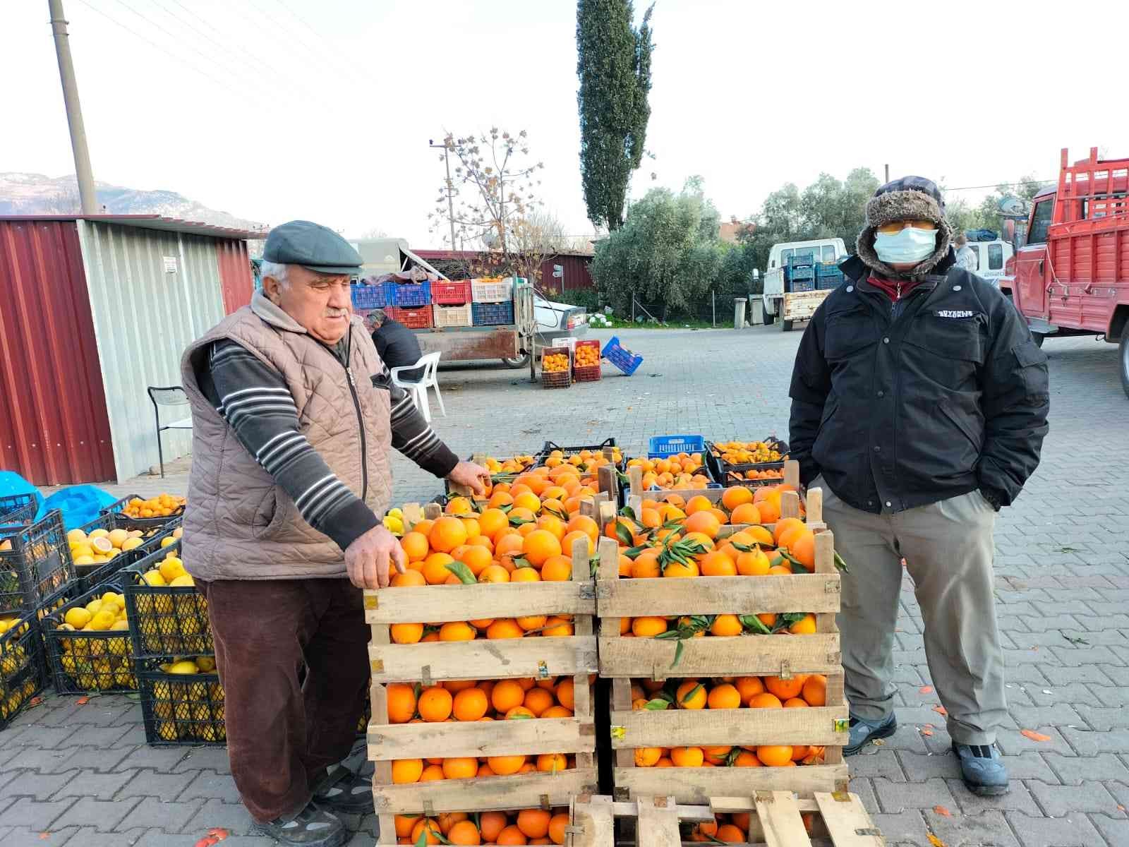 Narenciye üretim merkezinde çiftçiler soğuk hava deposu istiyor