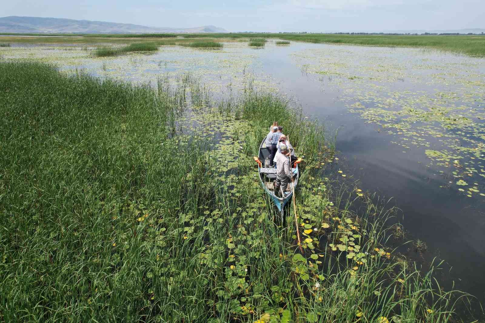 Nilüfer deryasında muazzam değişim