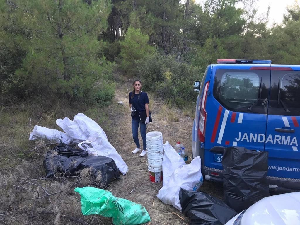 Ormanlık alanda bin 150 kök kenevir bitkisi bulundu