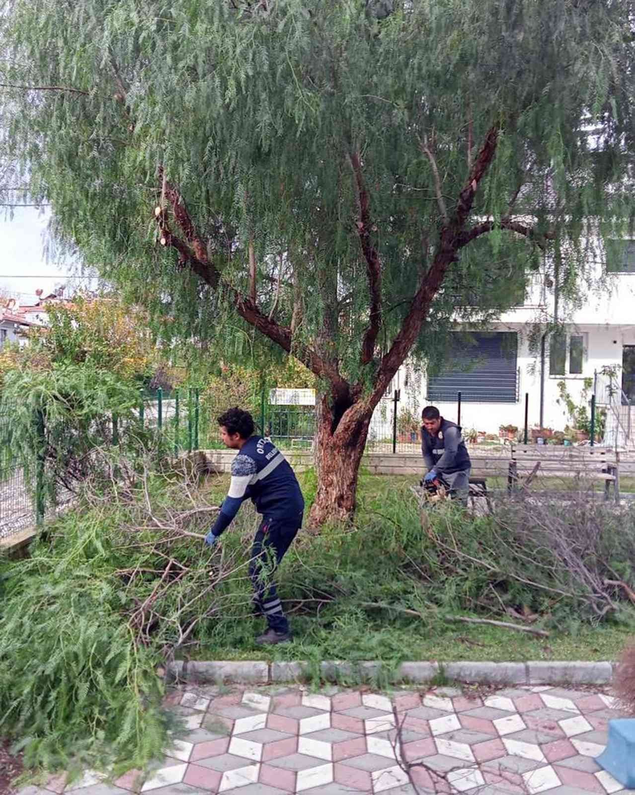 Ortaca’da ‘Yeşil’ seferberlik
