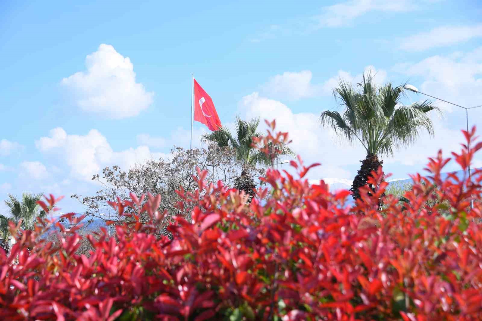 Salihli’de çiçekler rengarenk görüntüleriyle çevreye güzellik katıyor