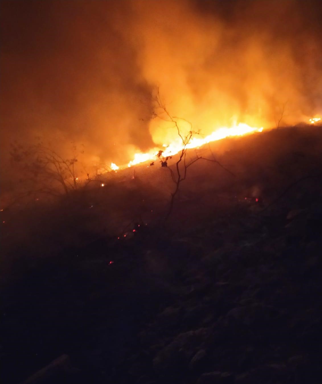 Sarıgöl’de orman yangını