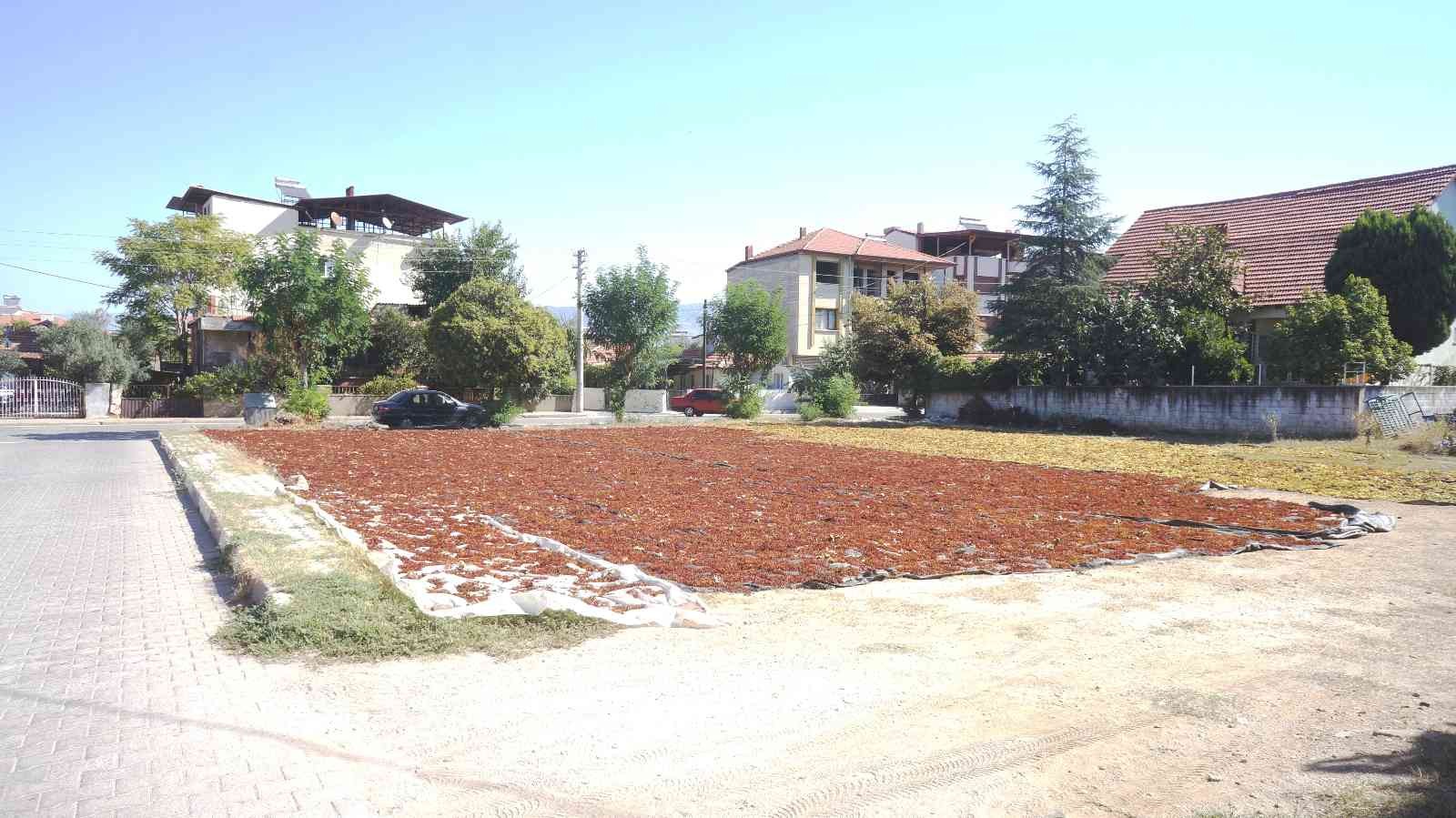 Sarıgöl’de üzüm sergi alanları şehre taştı