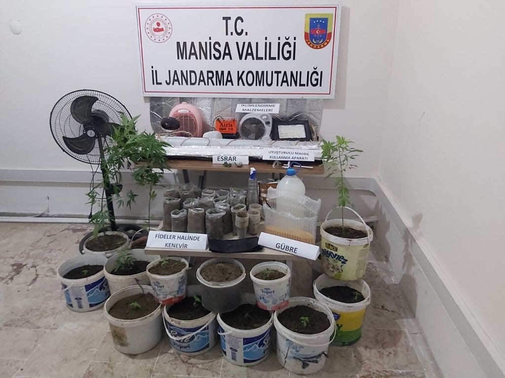Saruhanlı’da saksıda uyuşturucu yetiştiren kişi yakalandı