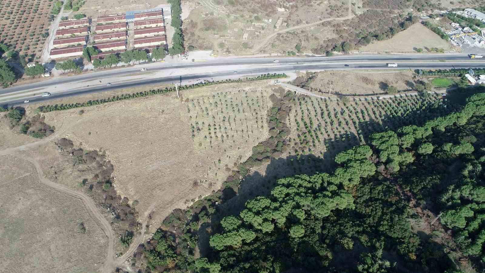 Şehzadeler’e yeni piknik alanı müjdesi