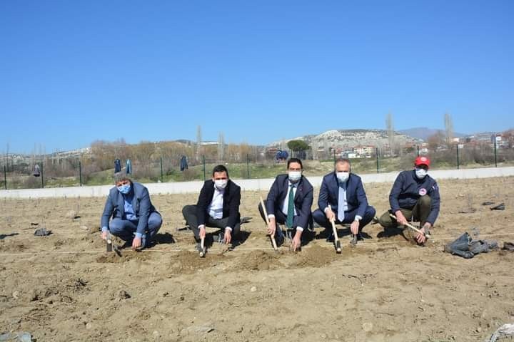Selendi’de cirit sahası artık lavanta kokacak