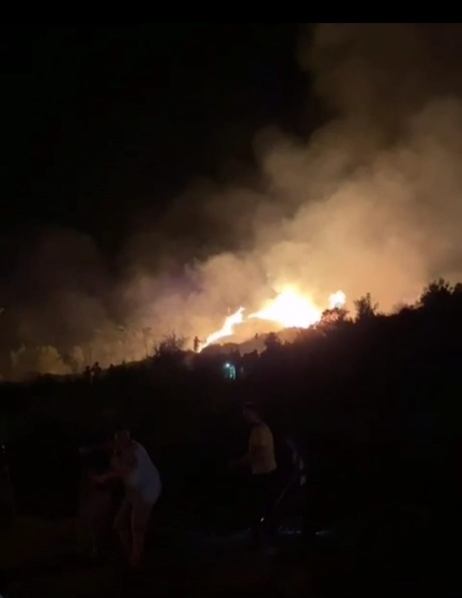 Servis aracında başlayan yangın ormana sıçradı